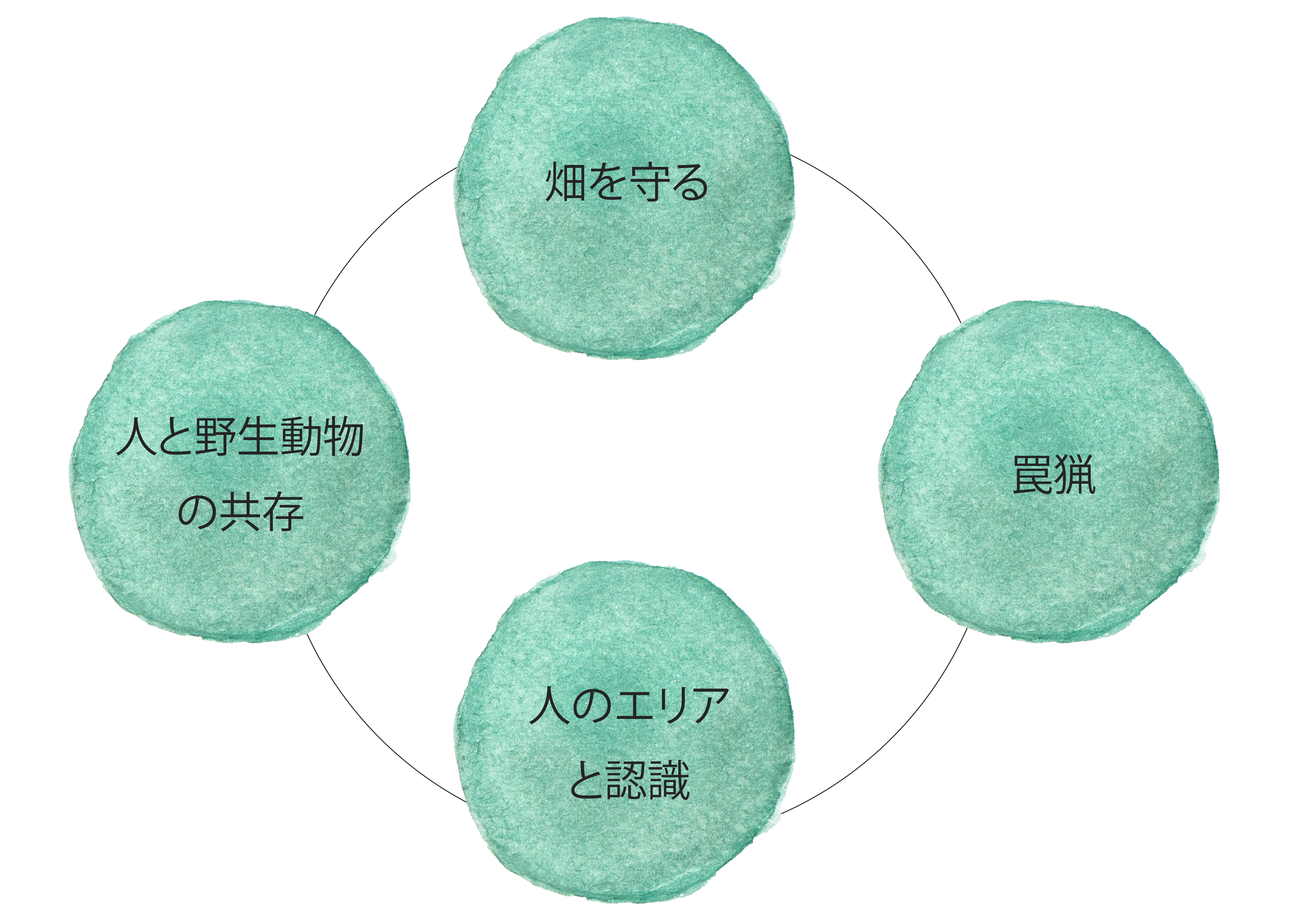 裏面 のコピー